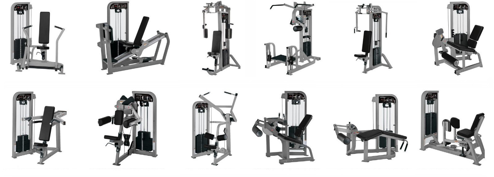 HAMMER Dumbbell & Plate